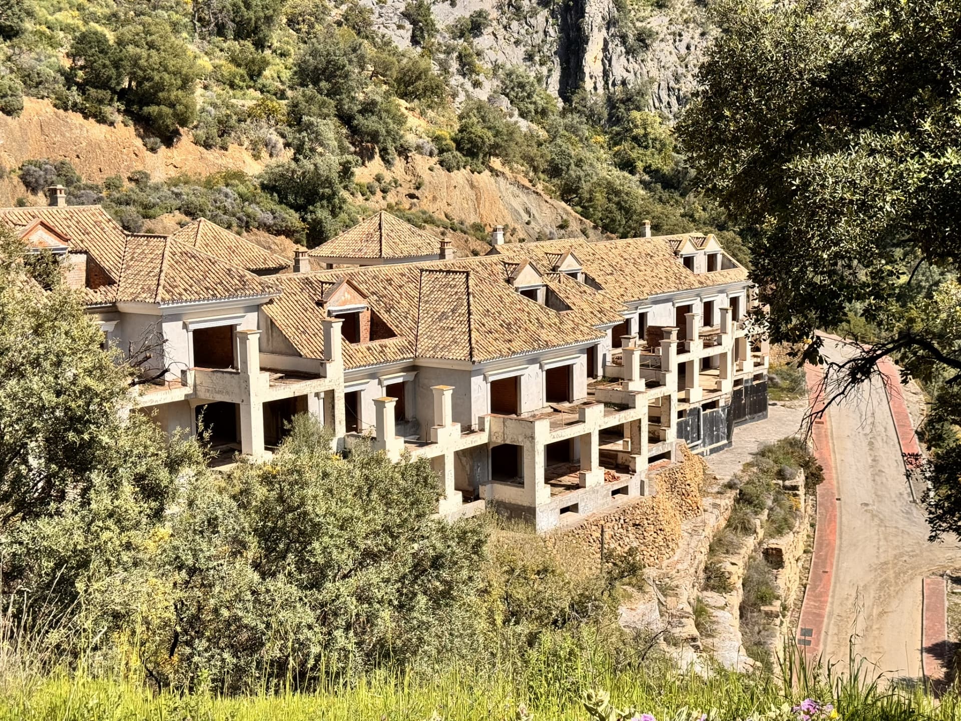 New Development Plot