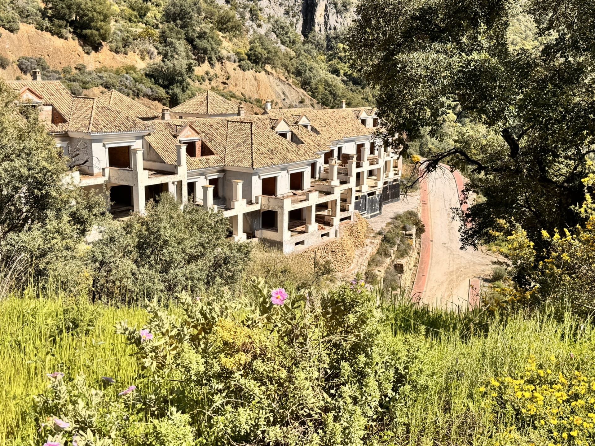 New Development Plot