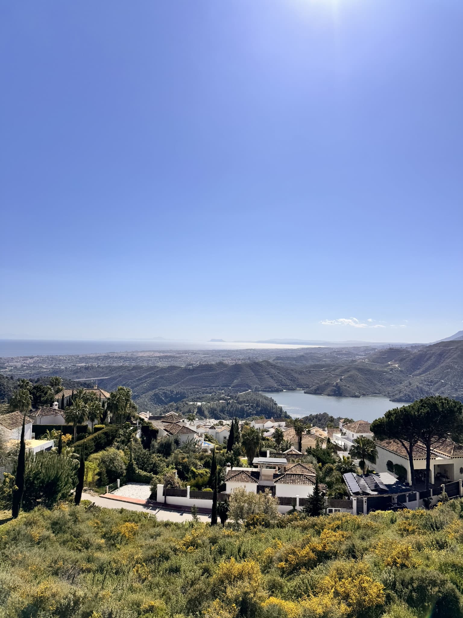 New Development Plot