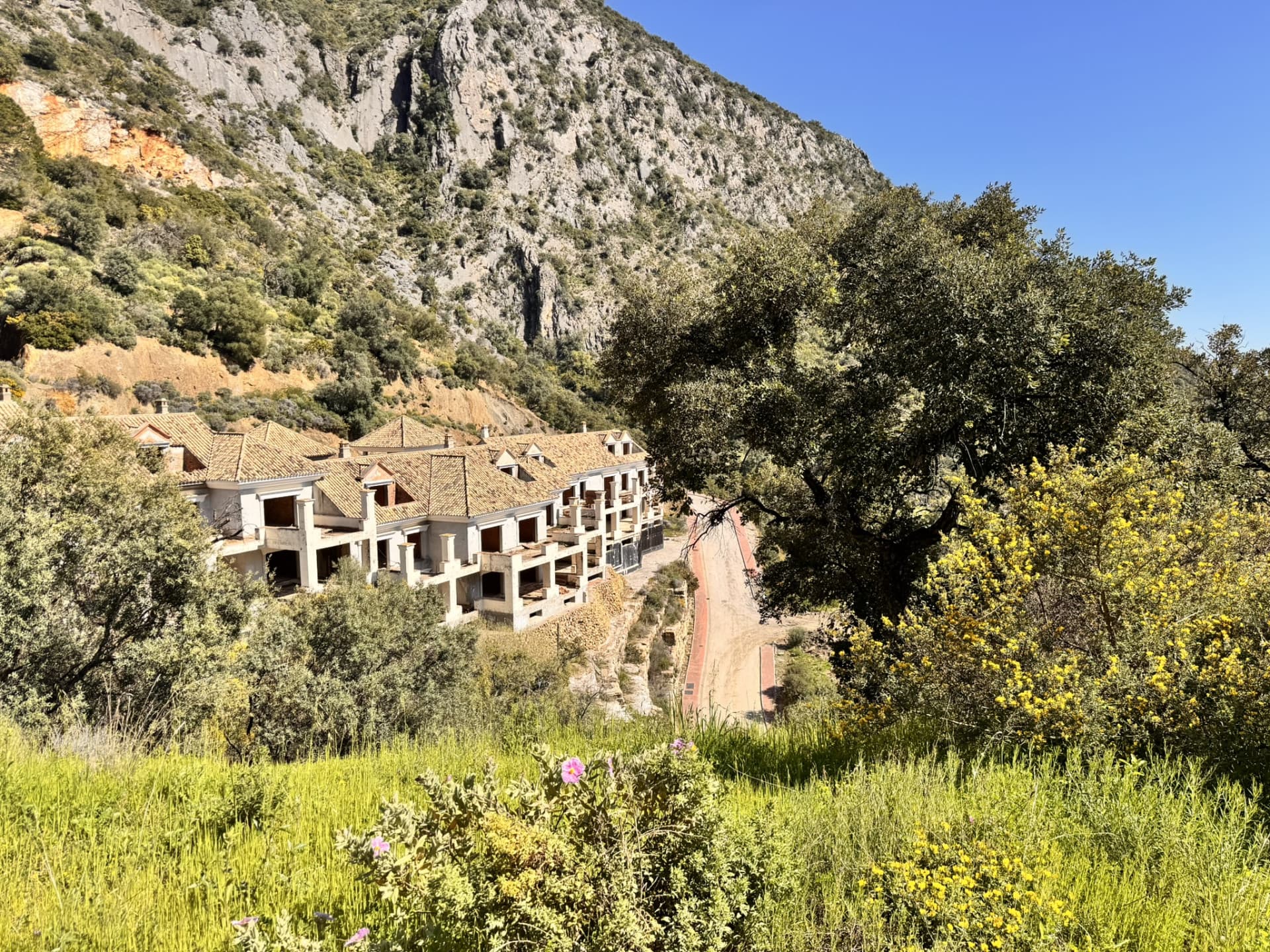 New Development Plot