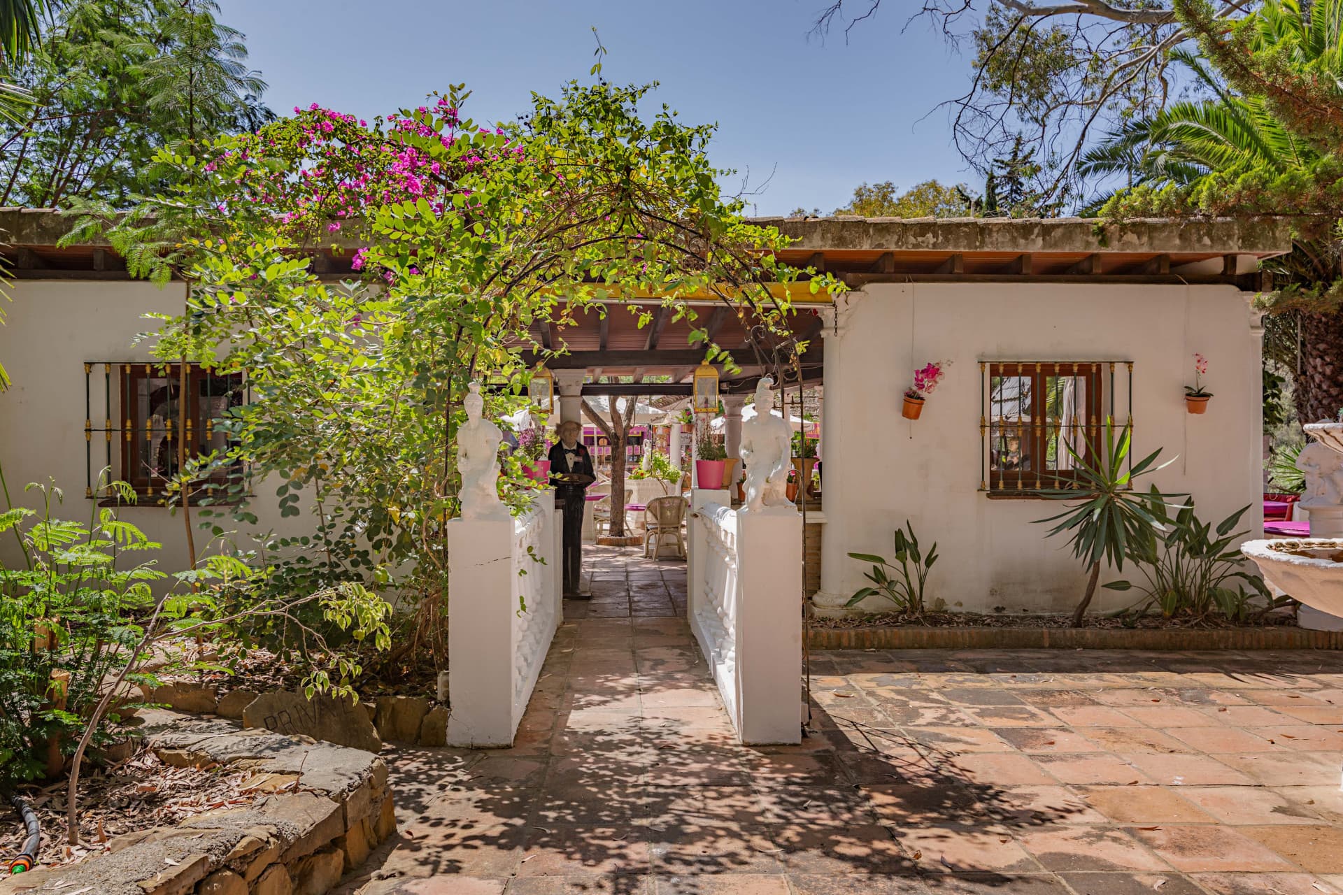 The Iconic Roman Oasis — Casares Costa