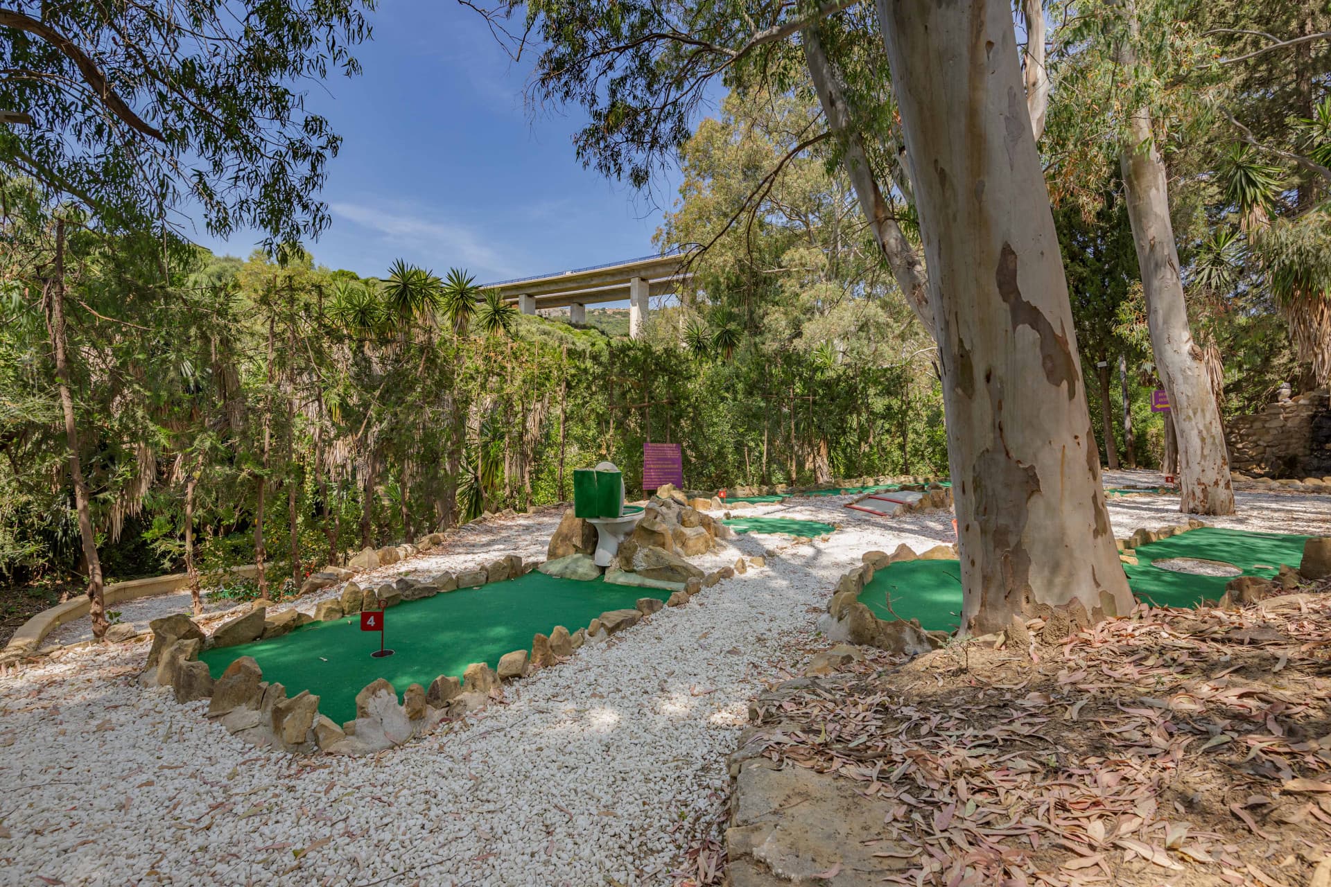The Iconic Roman Oasis — Casares Costa