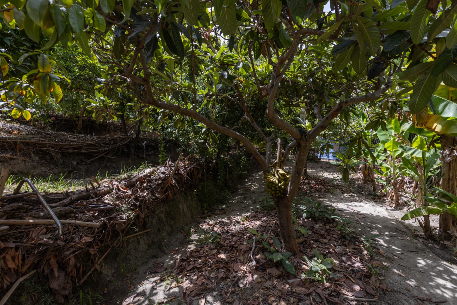 Charming villa with swimming pool and total privacy near San Pedro