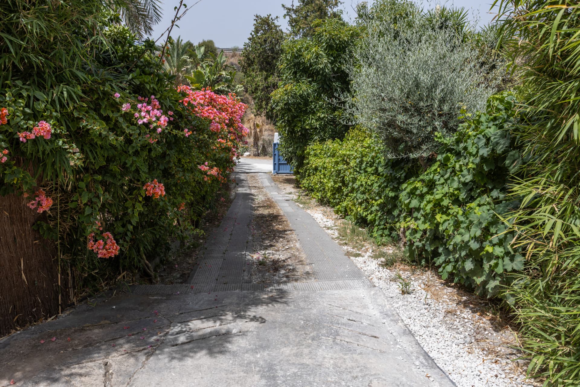 Charming villa with swimming pool and total privacy near San Pedro