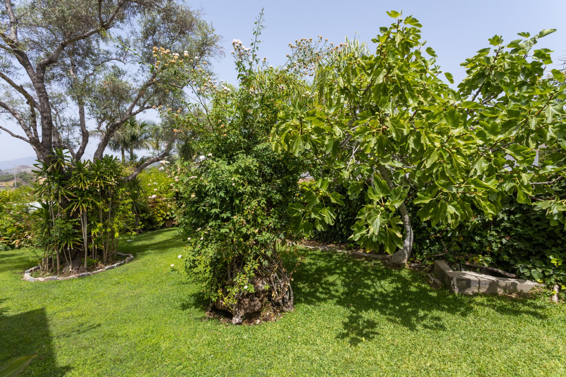 Charming villa with swimming pool and total privacy near San Pedro