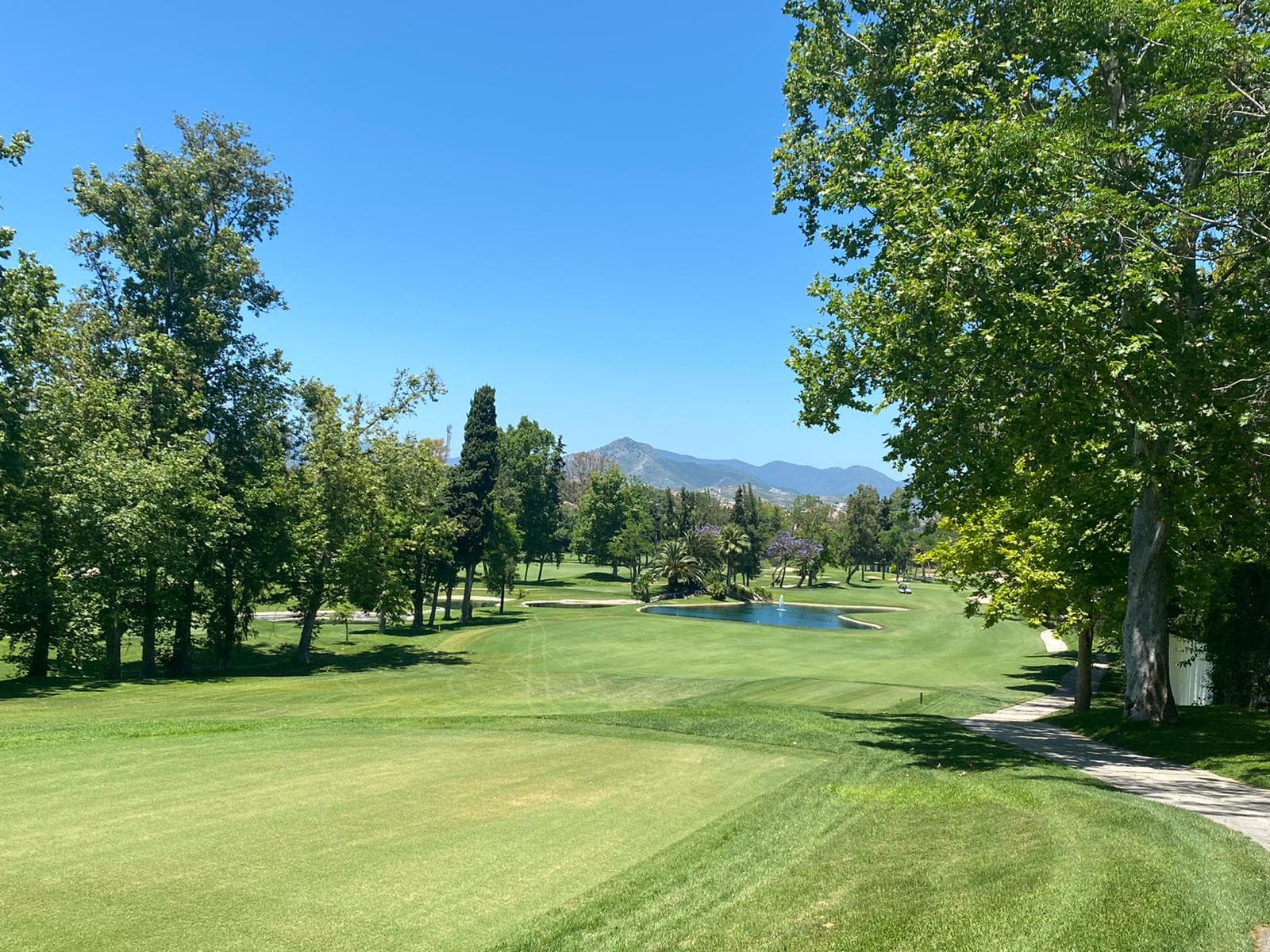 Villa con piscina privada en primera línea de golf – Isla de Guadalmina, Guadalmina Alta