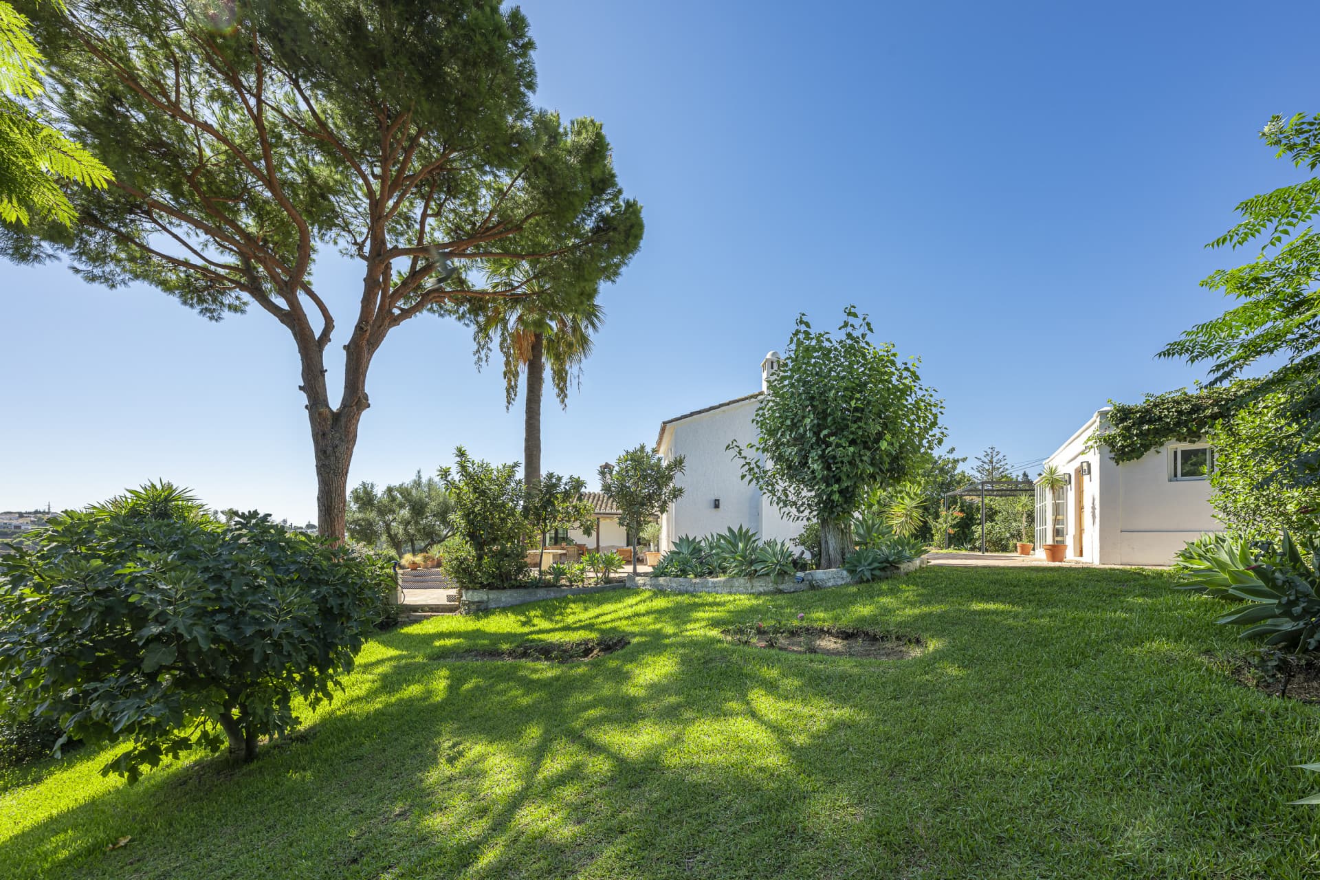 Charming Villa with Panoramic Views in Guadalmina Alta