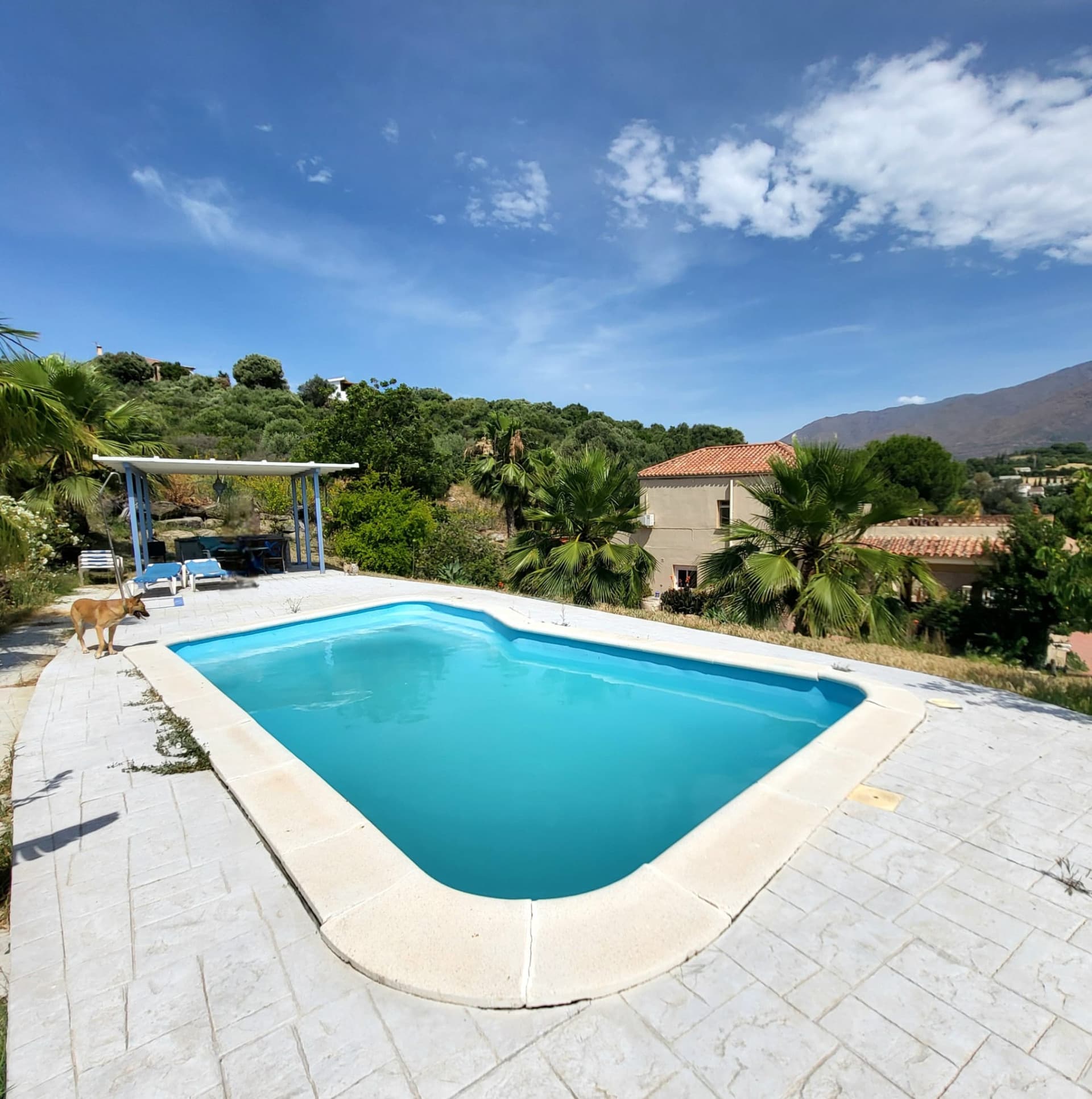 Villa with two separate flats, a large plot and a private swimming pool in Valle Romano, Estepona West
