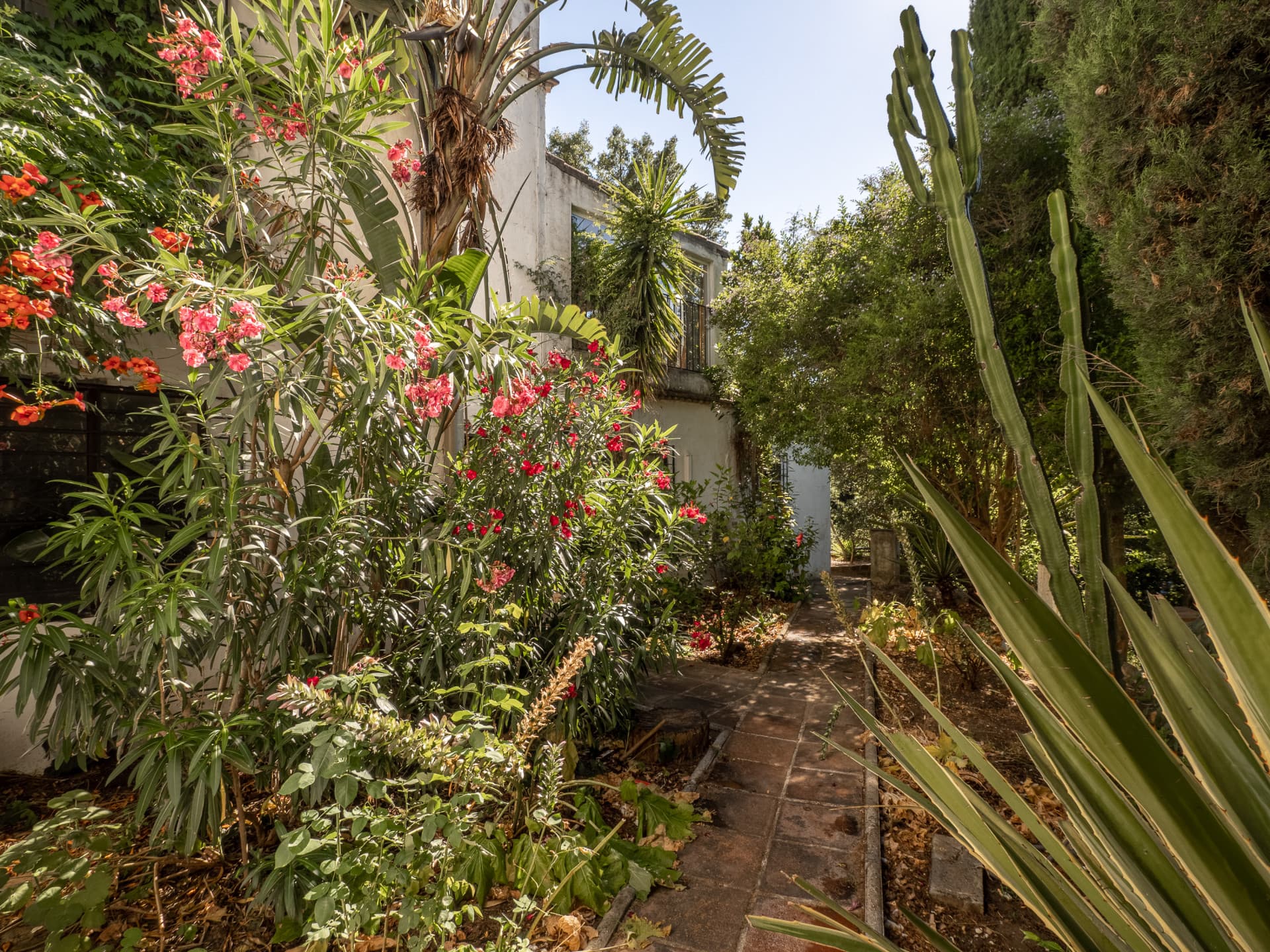 Charming and picturesque country house with swimming pool, located close to the village of Casares.