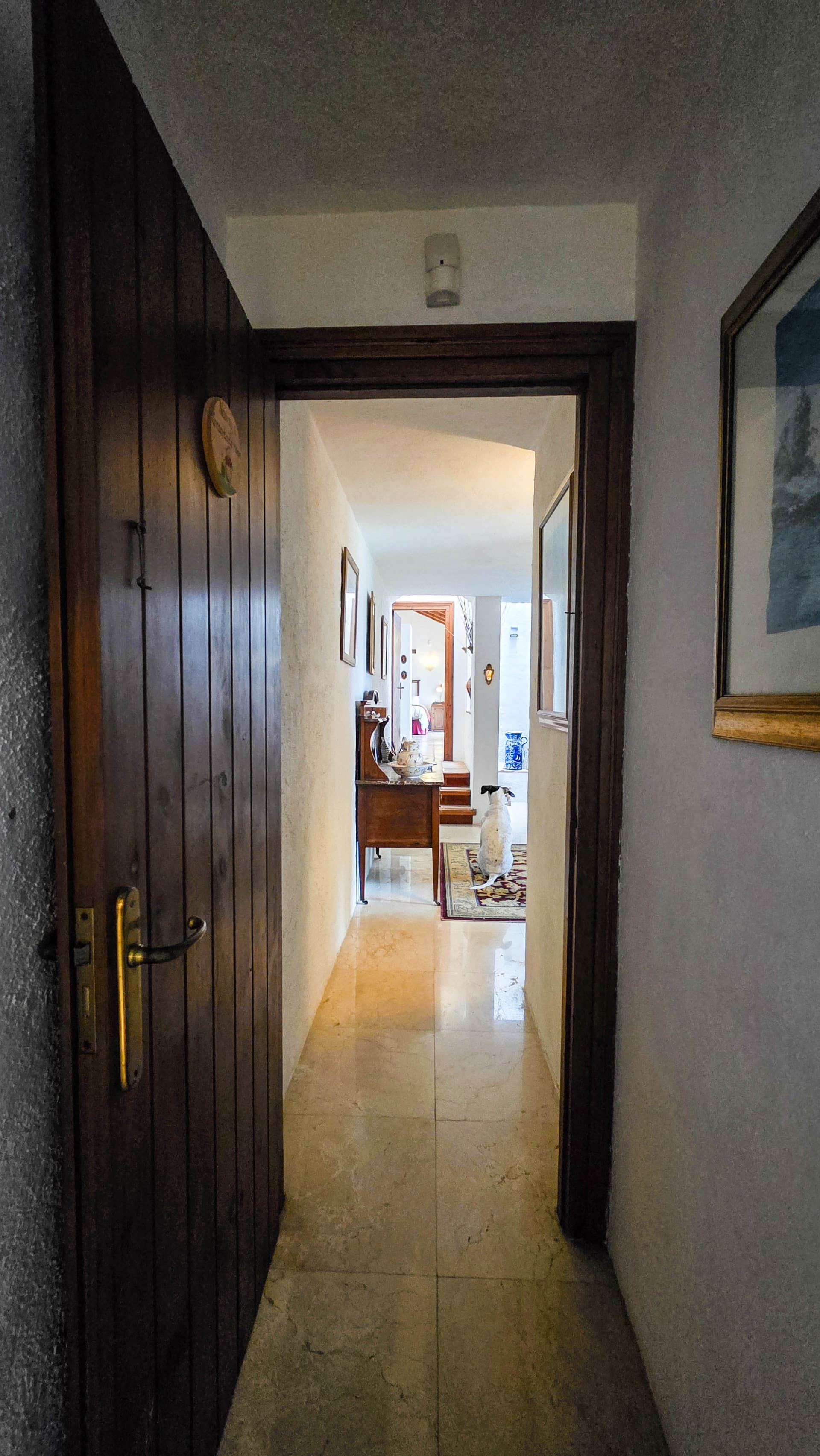 Spacious villa on an equally spacious plot in Bahía Dorada