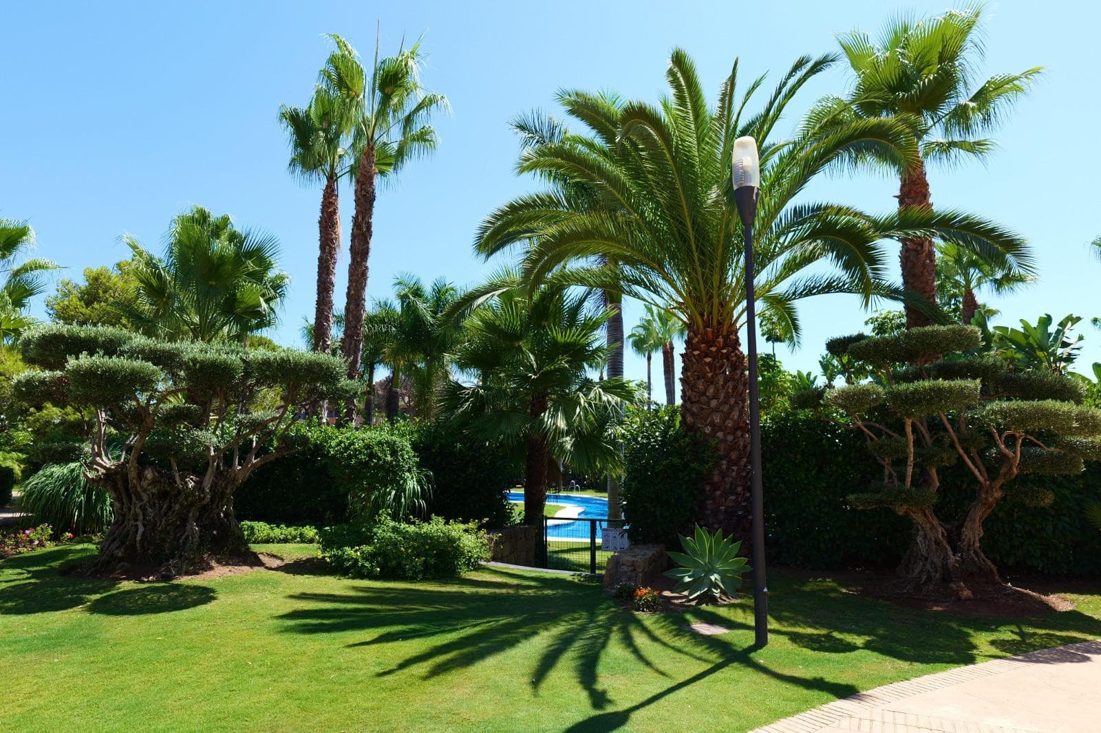 Exclusive Beachside Apartment in Las Mimosas, Walking Distance to Puerto Banús & Mistral Beach