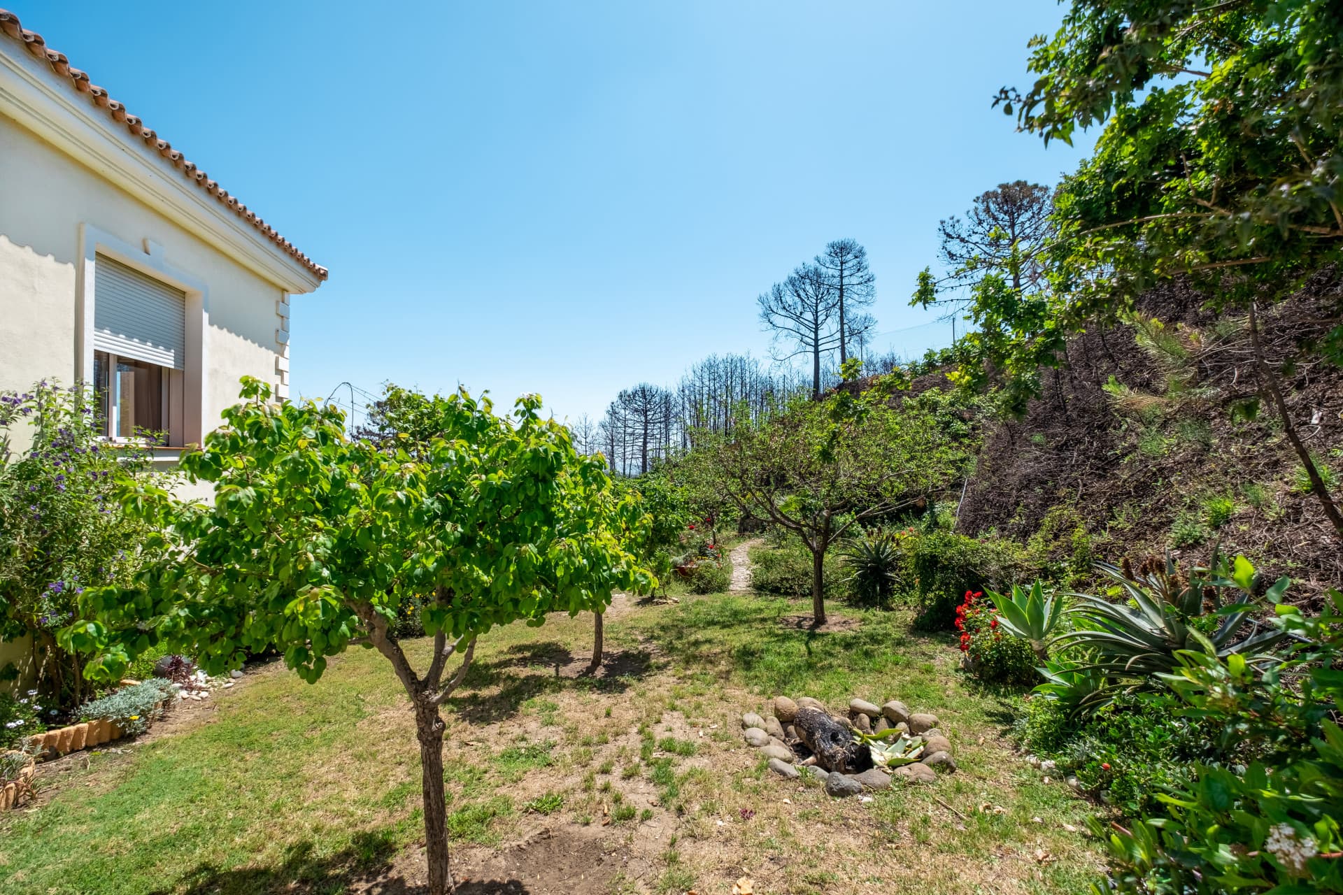Fantastic villa set on a 48.000m2 plot in Estepona with mountain and sea views