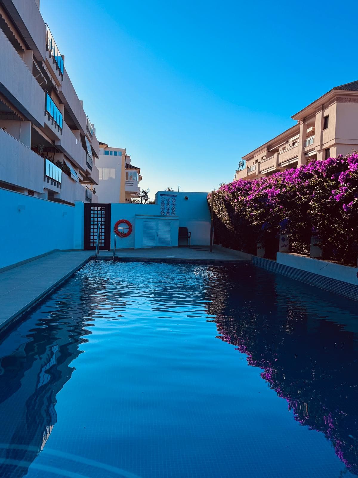 Fully Renovated Modern Apartment in Urbanización Las Petunias