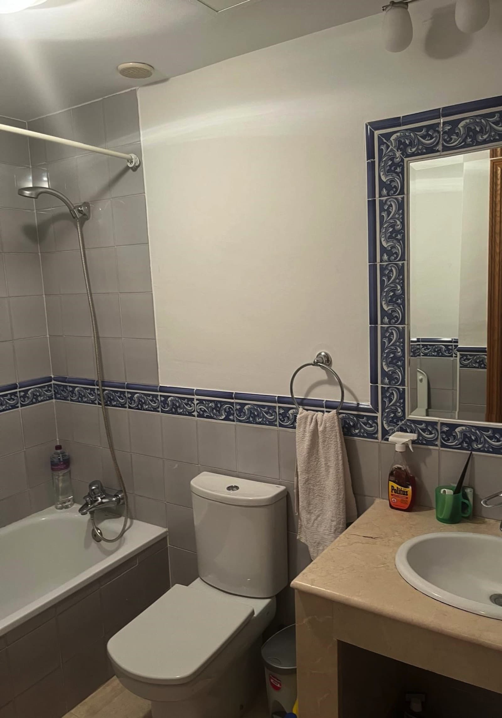 Unique Opportunity: Spacious Duplex in Secure Gated Urbanisation, Bulevar Area