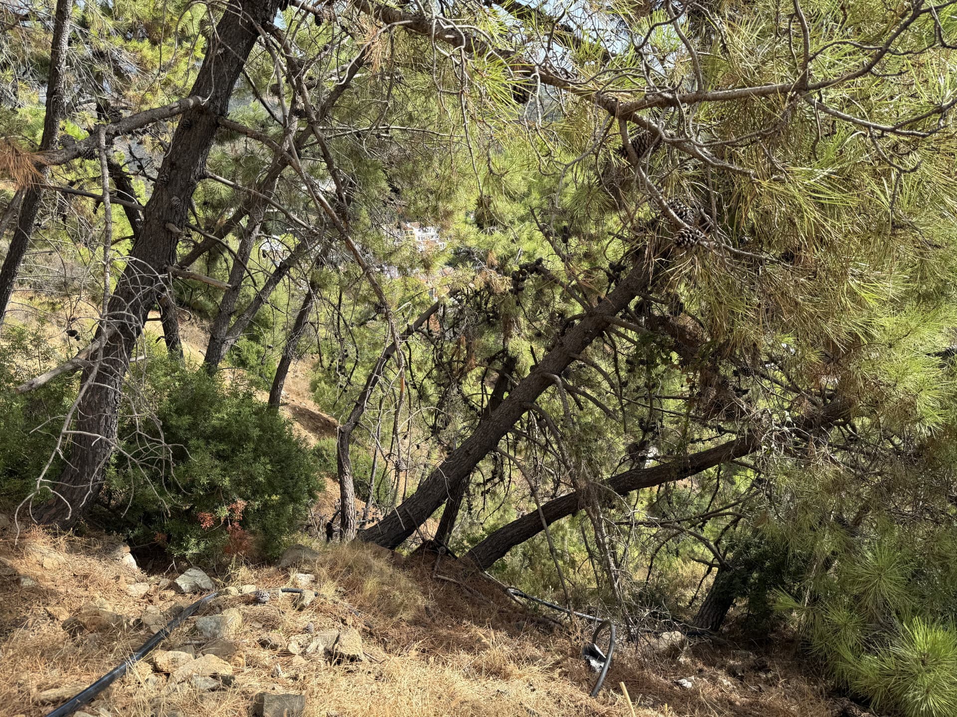 Unique opportunity in Benahavís – 2 urban plots with great future potential with Spectacular Views