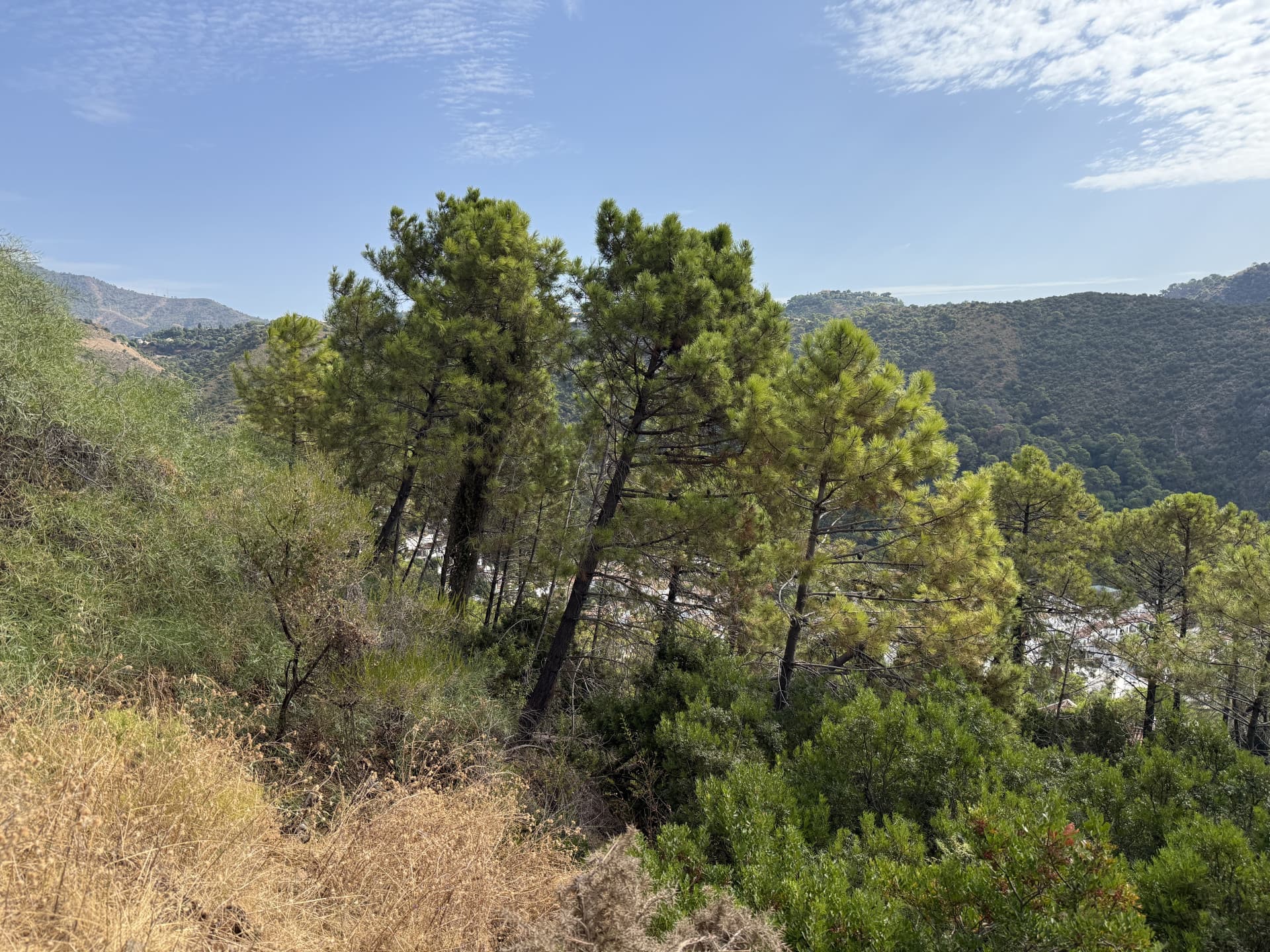 Unique opportunity in Benahavís – 2 urban plots with great future potential with Spectacular Views