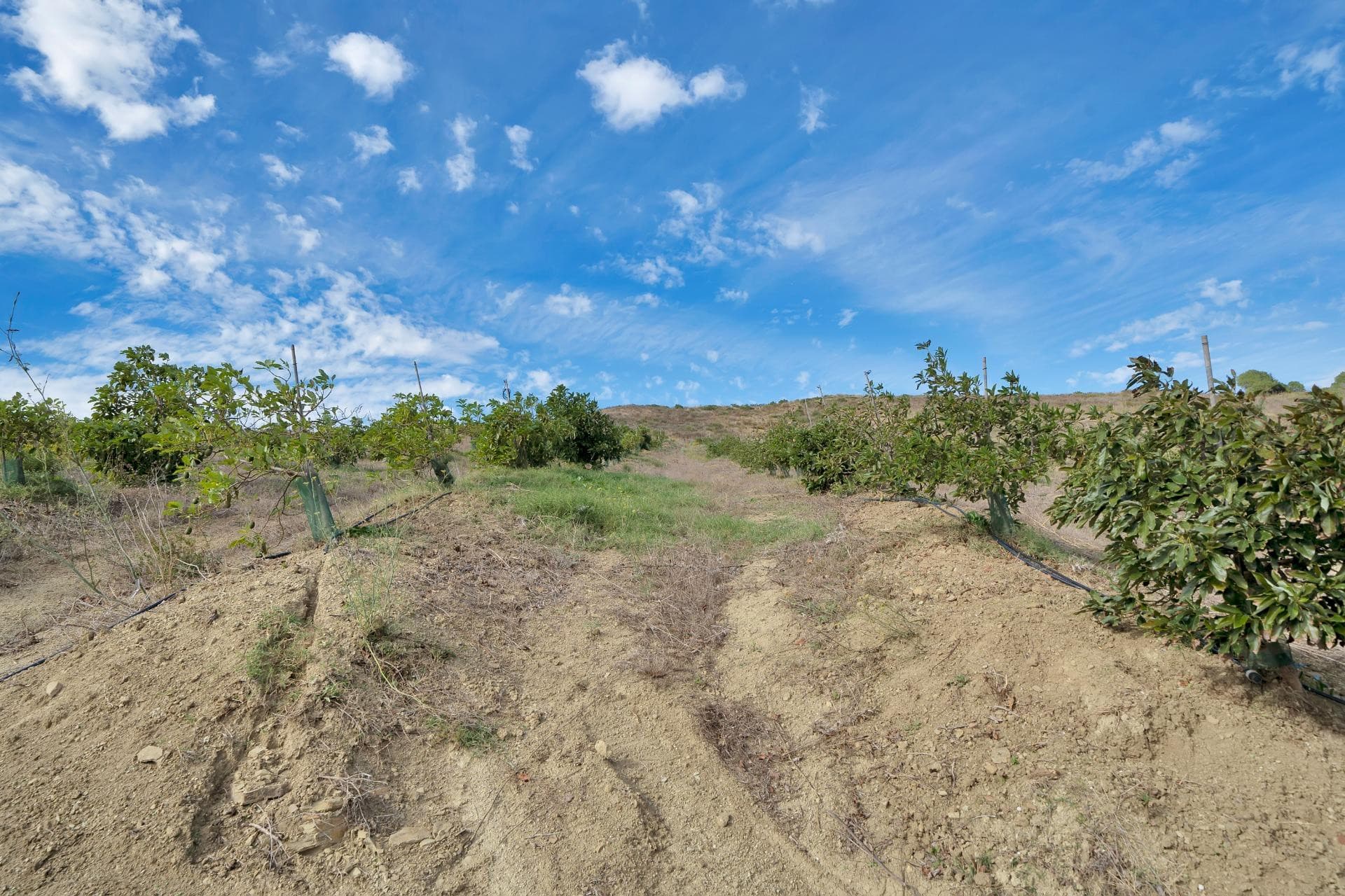 Land in Honda Cabada, Manilva, Malaga
