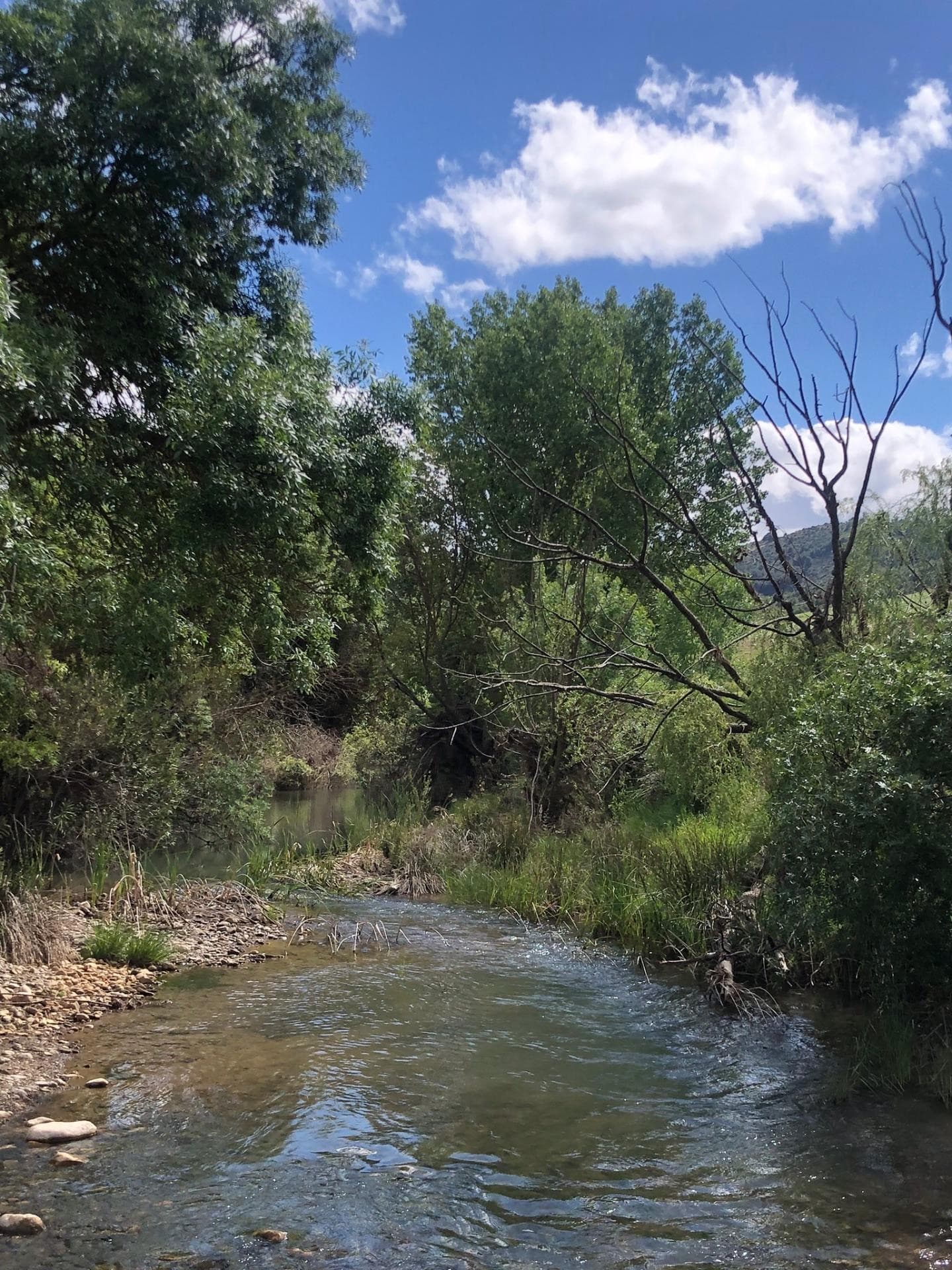 Impressive country estate close to Málaga, possibility to build