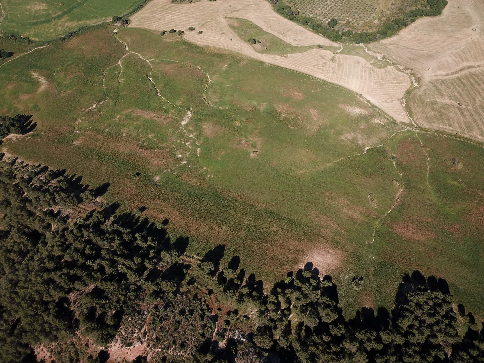 Impressive country estate close to Málaga, possibility to build