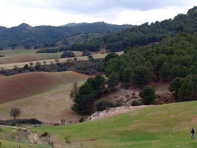 Impressive country estate close to Málaga, possibility to build