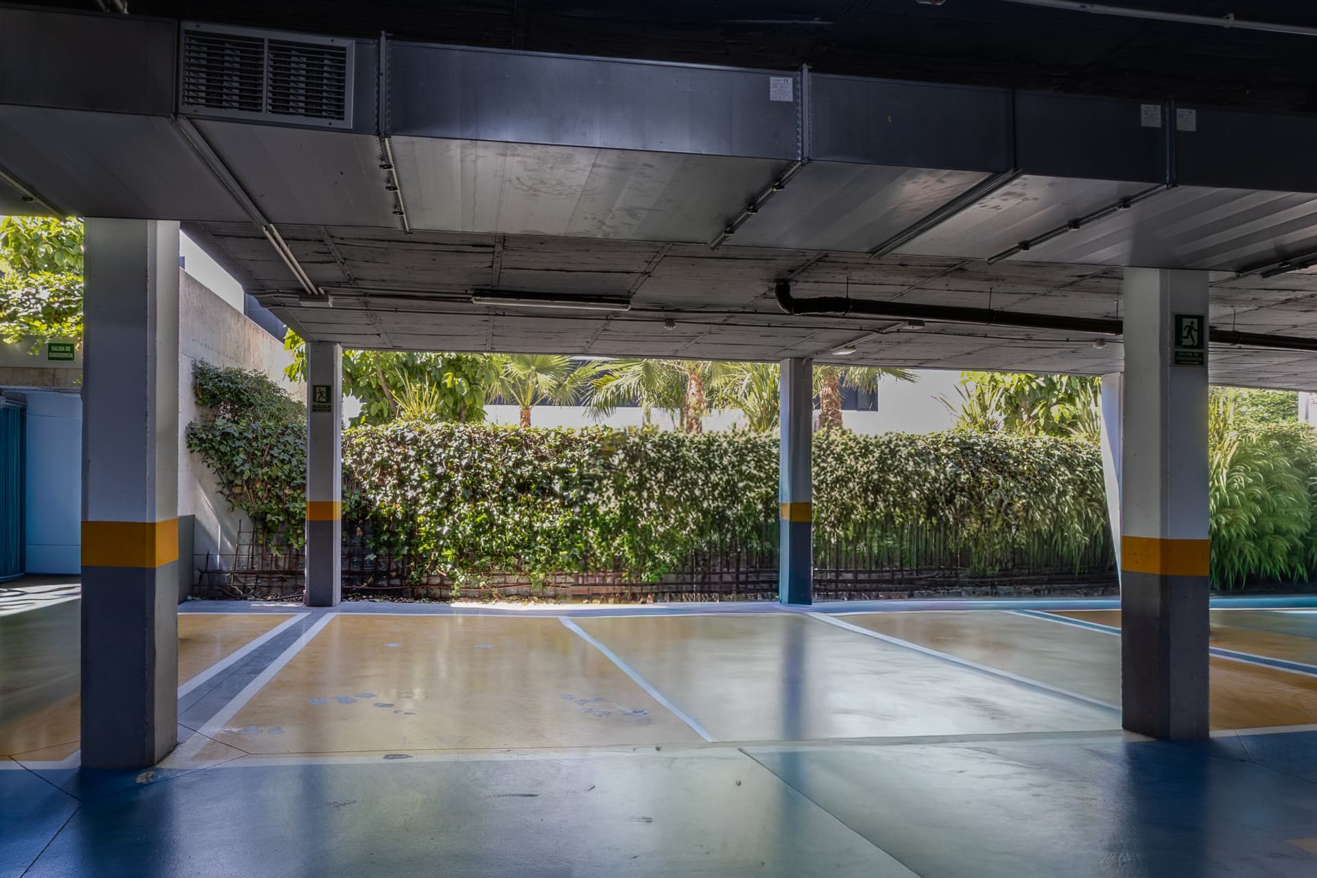 3 bedroom apartment in Wellingtonia