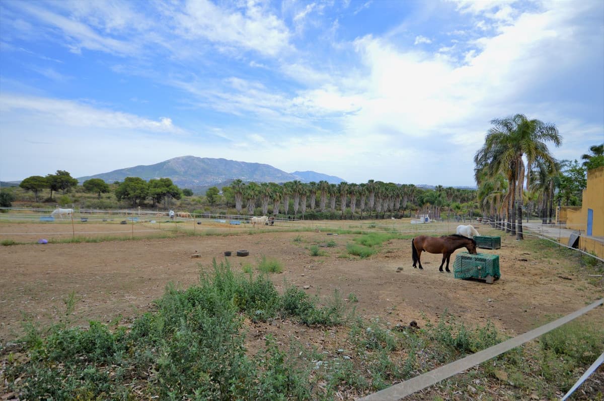 Fantastic and unique equestrian farm in an area surrounded by pine forests and Mediterranean vegetation