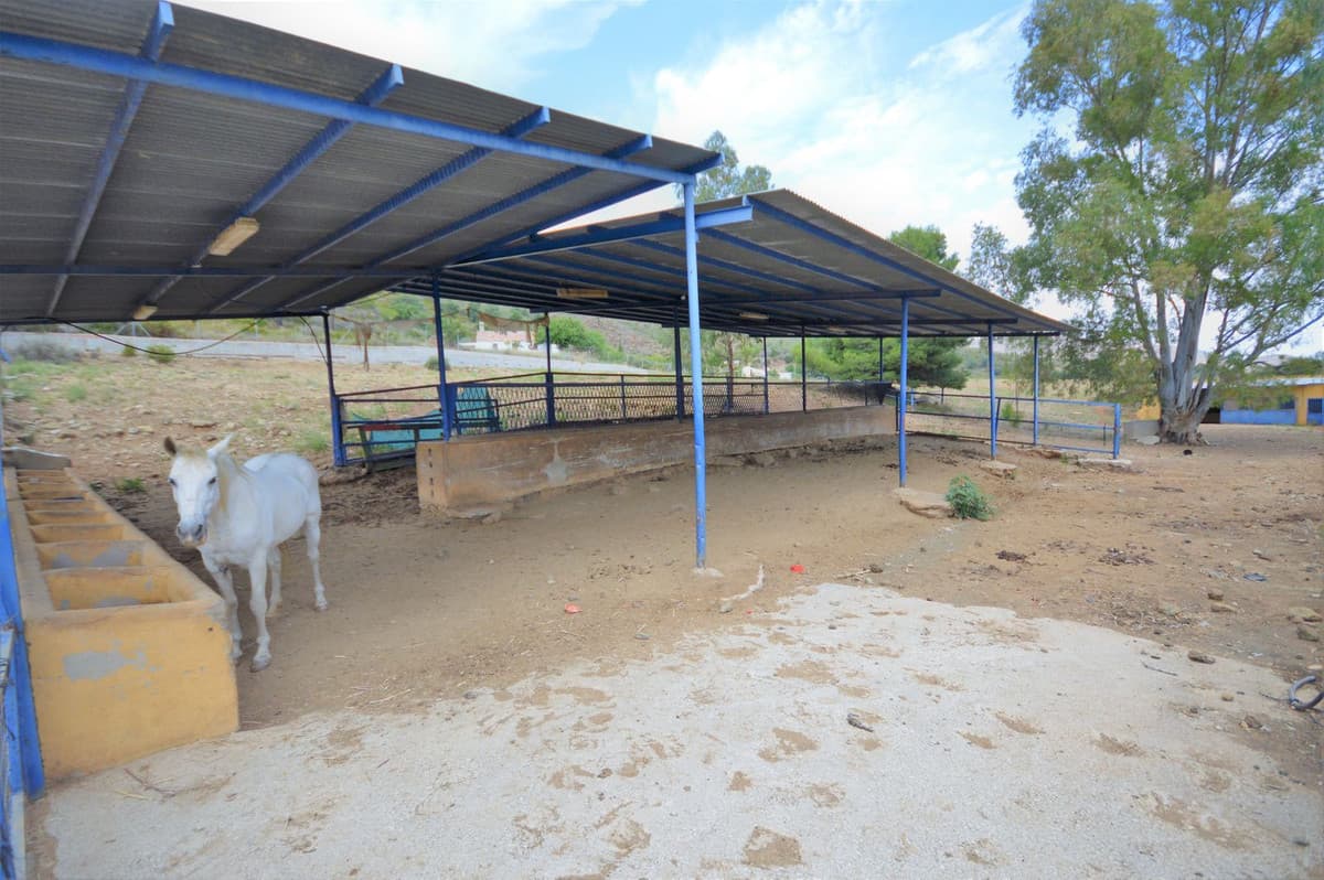 Fantastic and unique equestrian farm in an area surrounded by pine forests and Mediterranean vegetation