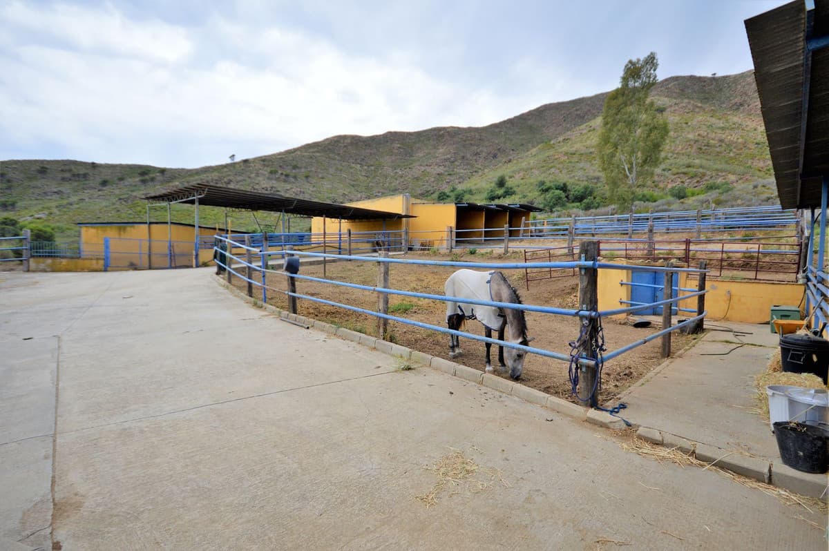 Fantastic and unique equestrian farm in an area surrounded by pine forests and Mediterranean vegetation