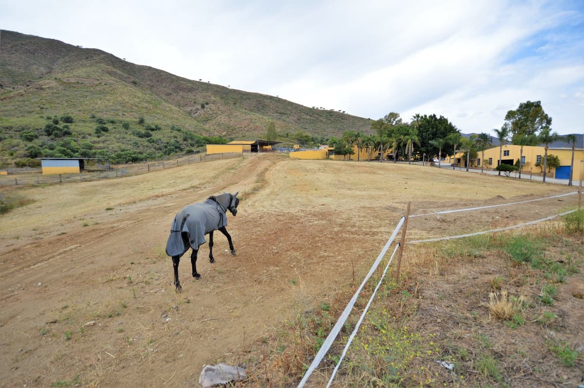 Fantastic and unique equestrian farm in an area surrounded by pine forests and Mediterranean vegetation