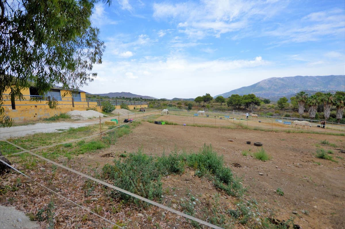 Fantastic and unique equestrian farm in an area surrounded by pine forests and Mediterranean vegetation