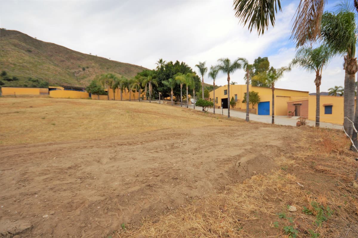 Fantastic and unique equestrian farm in an area surrounded by pine forests and Mediterranean vegetation