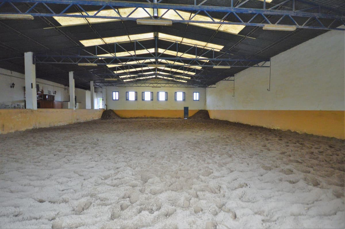 Fantastic and unique equestrian farm in an area surrounded by pine forests and Mediterranean vegetation