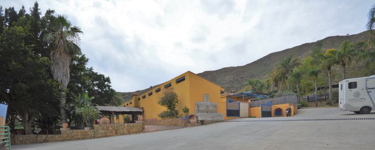 Fantastic and unique equestrian farm in an area surrounded by pine forests and Mediterranean vegetation
