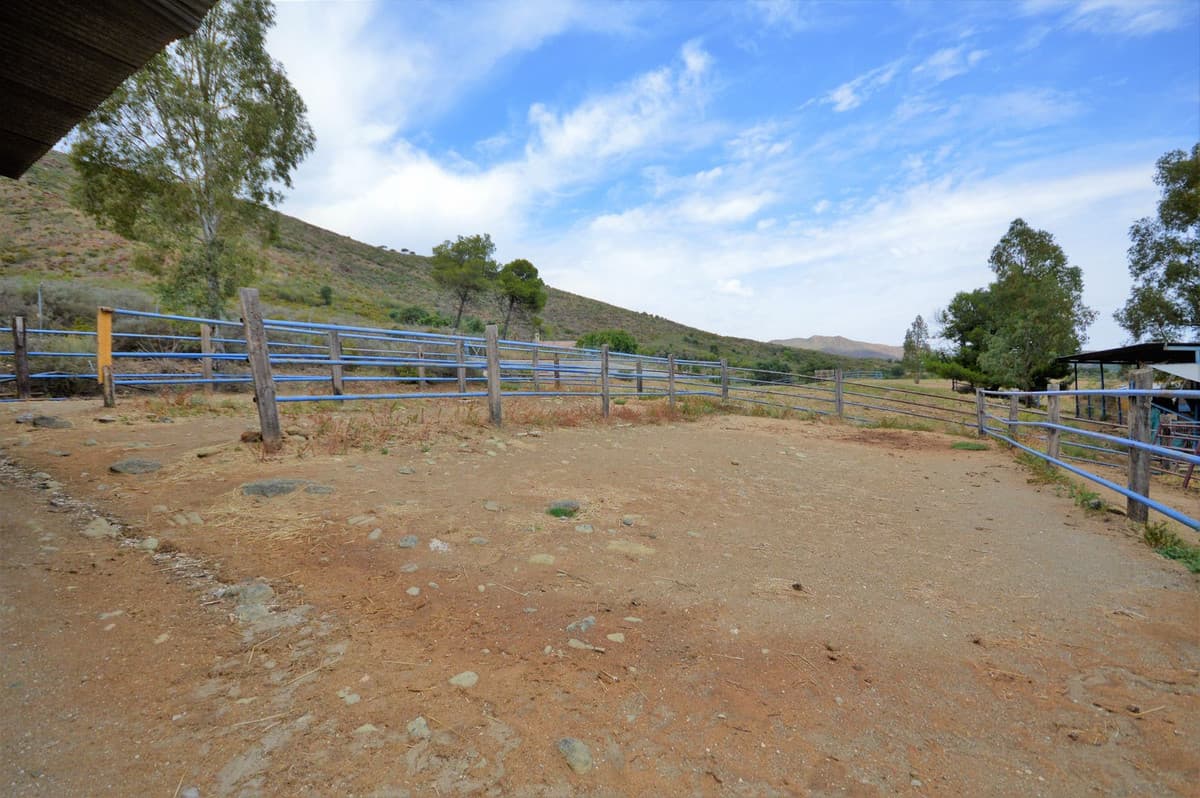 Fantastic and unique equestrian farm in an area surrounded by pine forests and Mediterranean vegetation