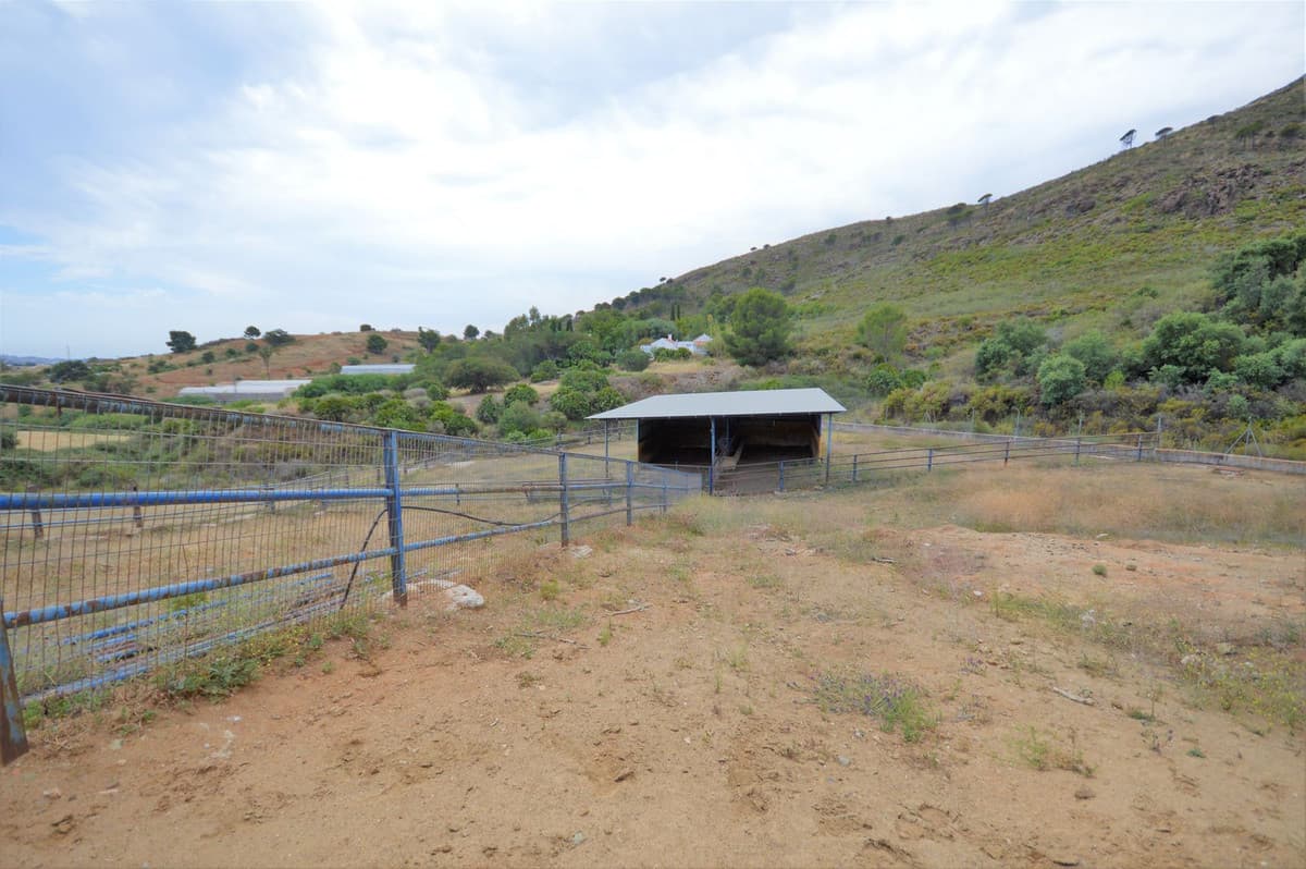 Fantastic and unique equestrian farm in an area surrounded by pine forests and Mediterranean vegetation