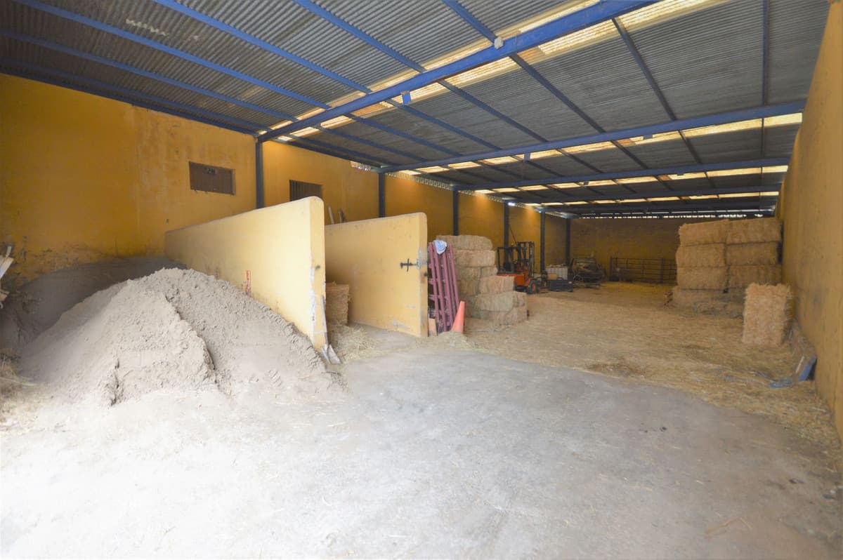 Fantastic and unique equestrian farm in an area surrounded by pine forests and Mediterranean vegetation