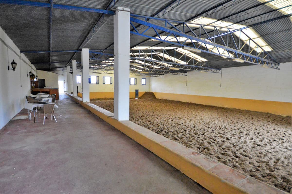 Fantastic and unique equestrian farm in an area surrounded by pine forests and Mediterranean vegetation