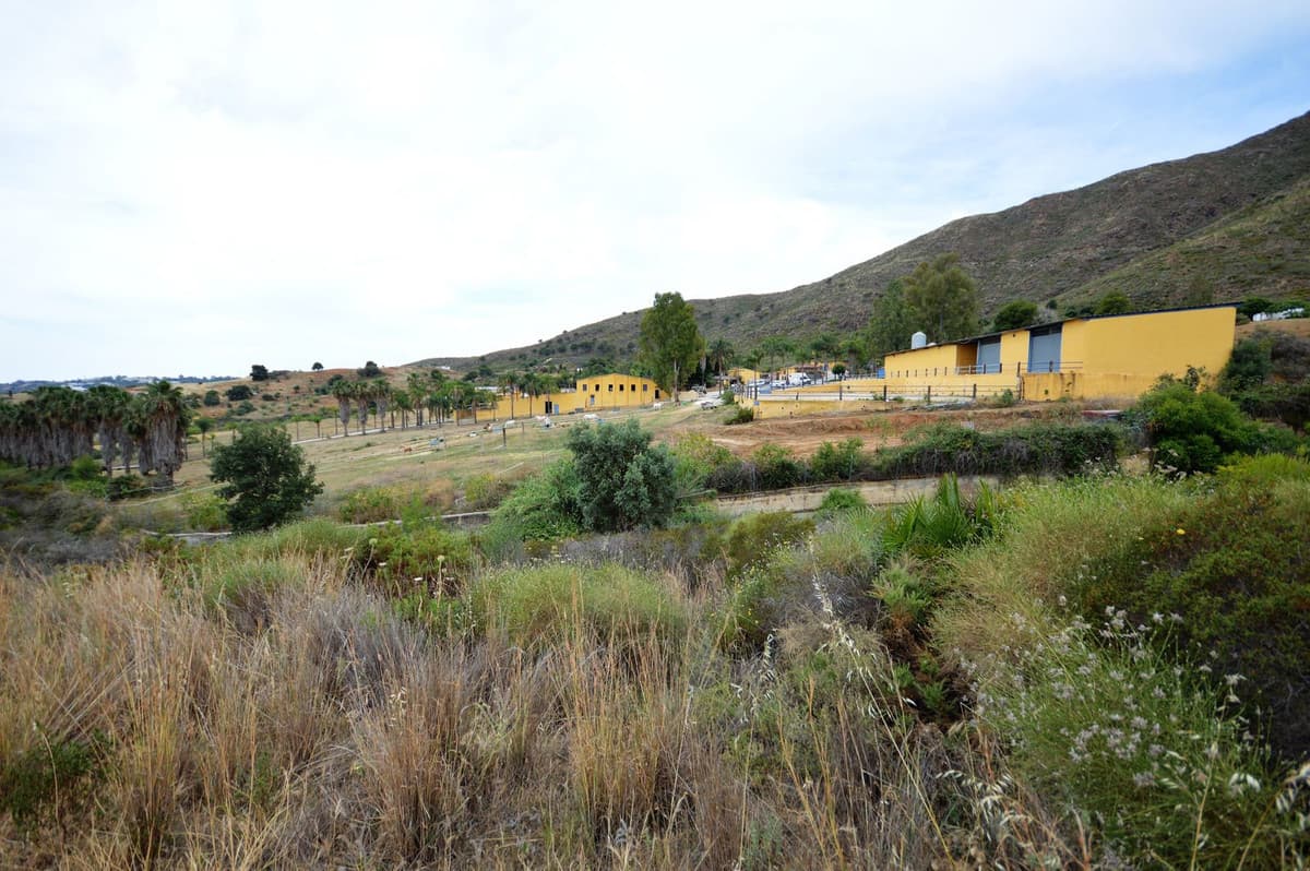 Fantastic and unique equestrian farm in an area surrounded by pine forests and Mediterranean vegetation