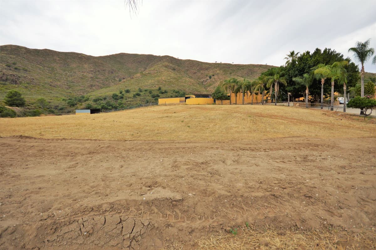 Fantastic and unique equestrian farm in an area surrounded by pine forests and Mediterranean vegetation