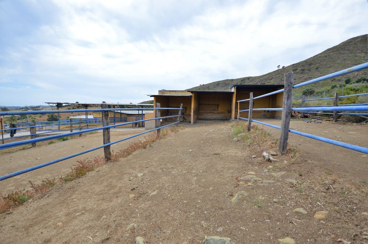 Fantastic and unique equestrian farm in an area surrounded by pine forests and Mediterranean vegetation