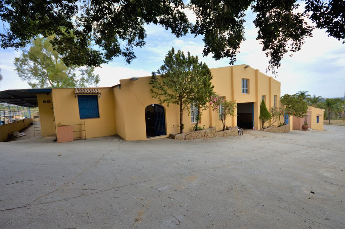 Fantastic and unique equestrian farm in an area surrounded by pine forests and Mediterranean vegetation