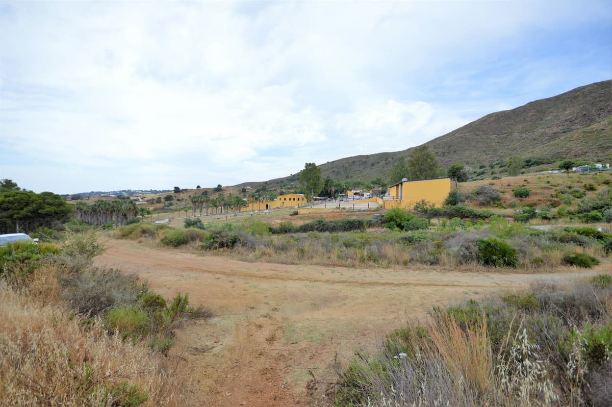 Fantastic and unique equestrian farm in an area surrounded by pine forests and Mediterranean vegetation