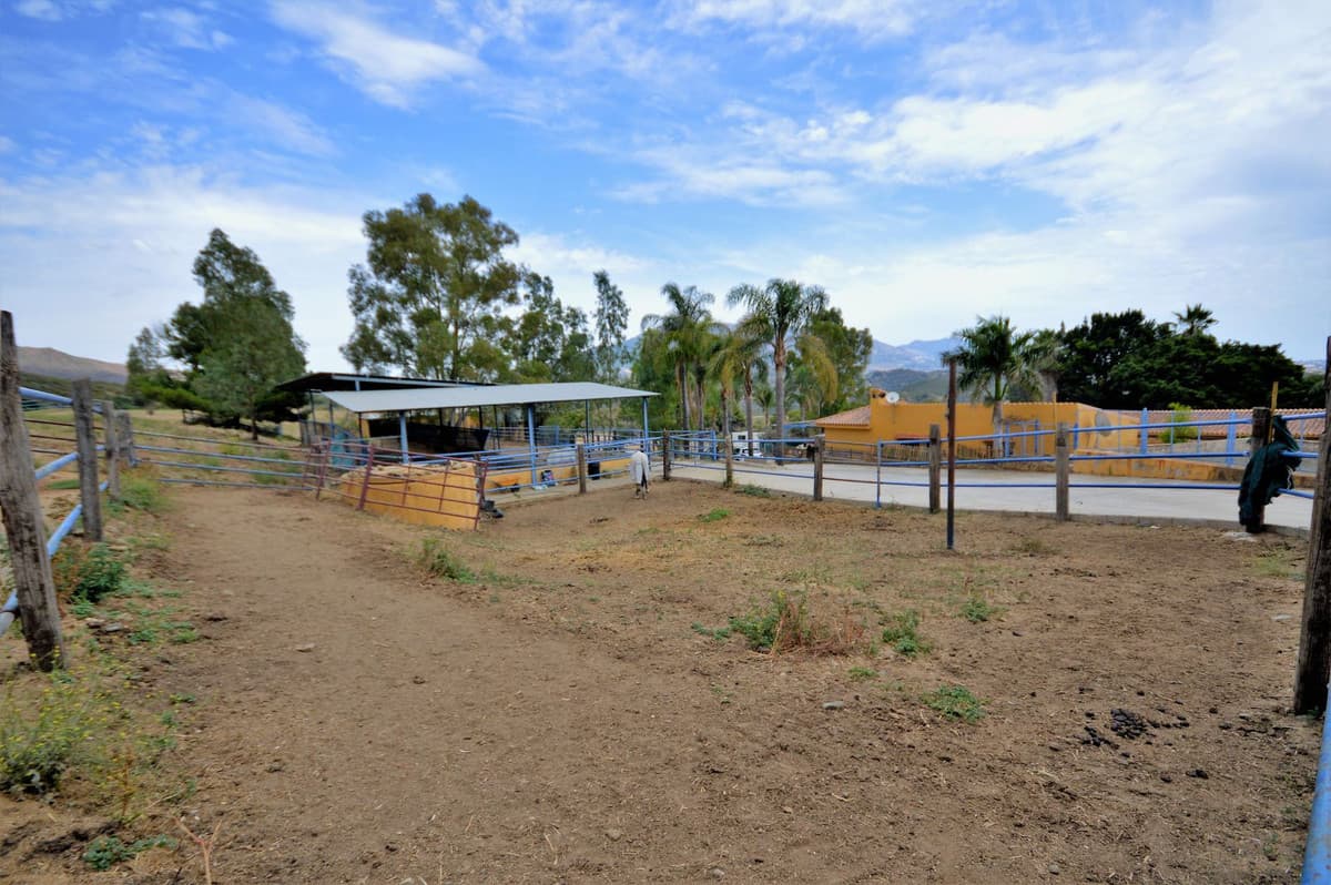 Fantastic and unique equestrian farm in an area surrounded by pine forests and Mediterranean vegetation