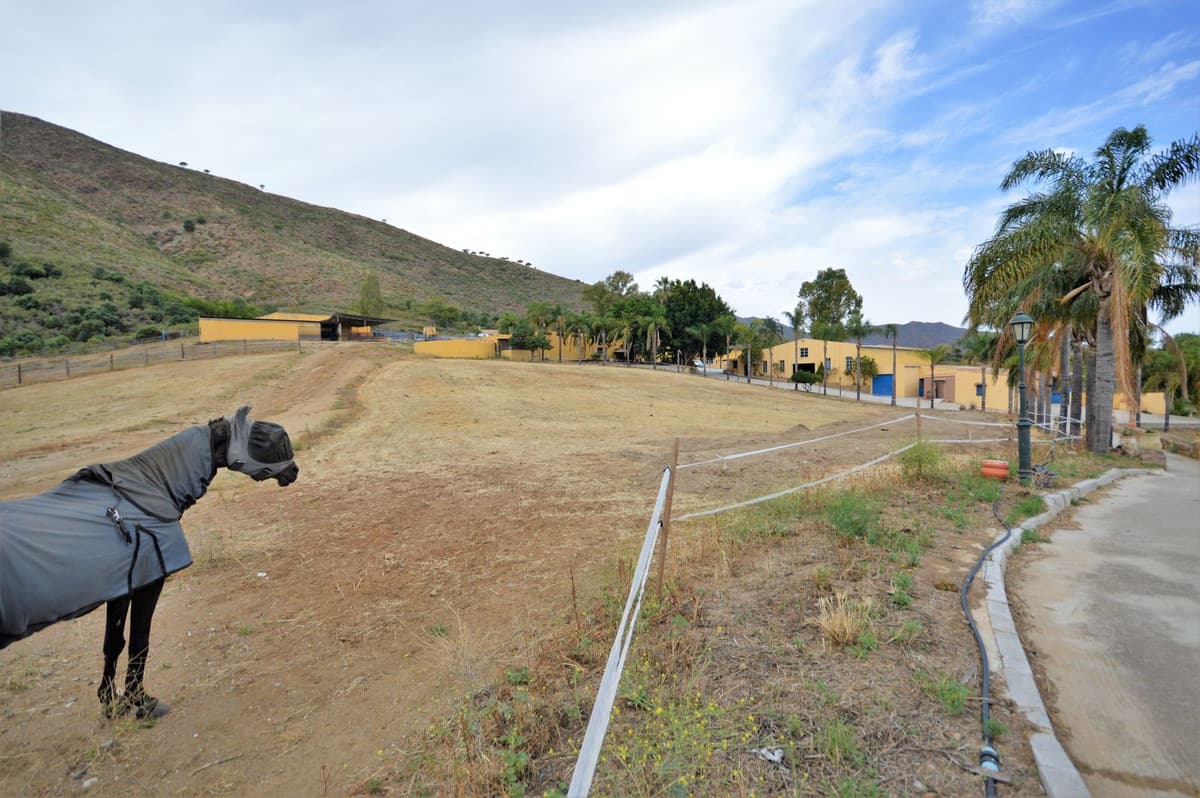 Fantastic and unique equestrian farm in an area surrounded by pine forests and Mediterranean vegetation
