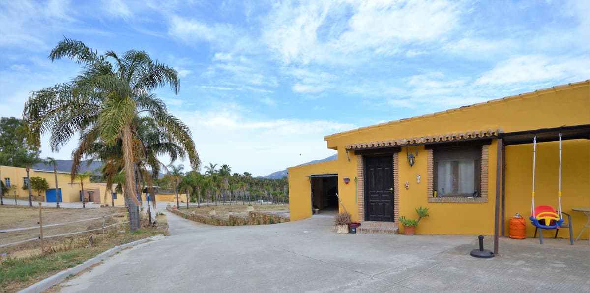 Fantastic and unique equestrian farm in an area surrounded by pine forests and Mediterranean vegetation