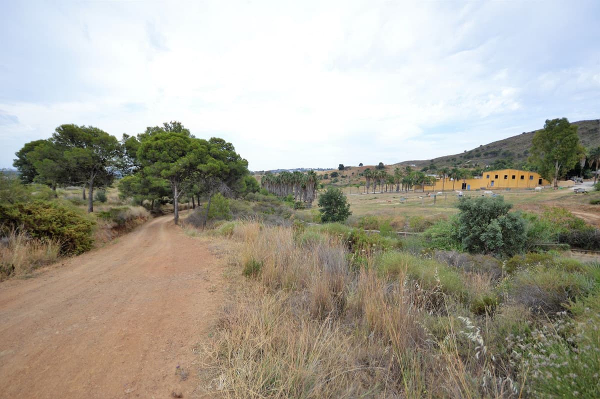 Fantastic and unique equestrian farm in an area surrounded by pine forests and Mediterranean vegetation