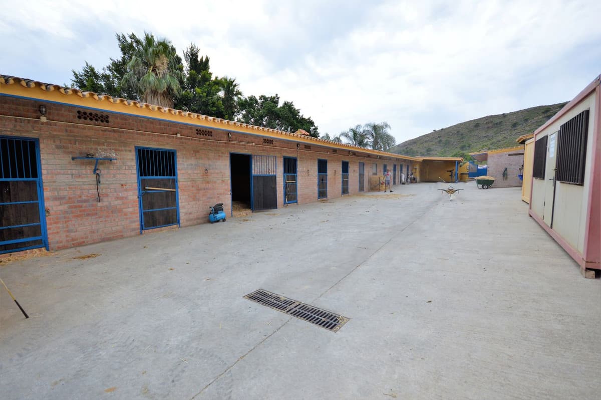 Fantastic and unique equestrian farm in an area surrounded by pine forests and Mediterranean vegetation