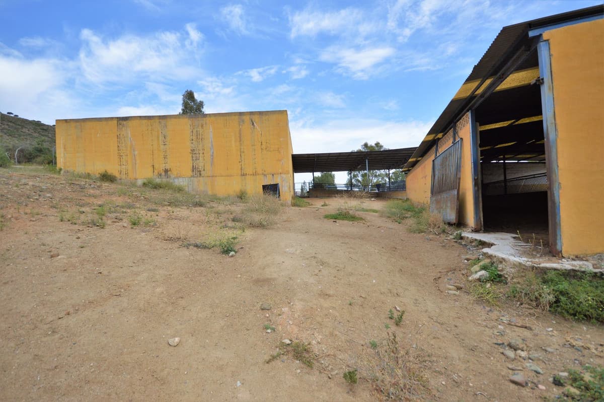 Fantastic and unique equestrian farm in an area surrounded by pine forests and Mediterranean vegetation