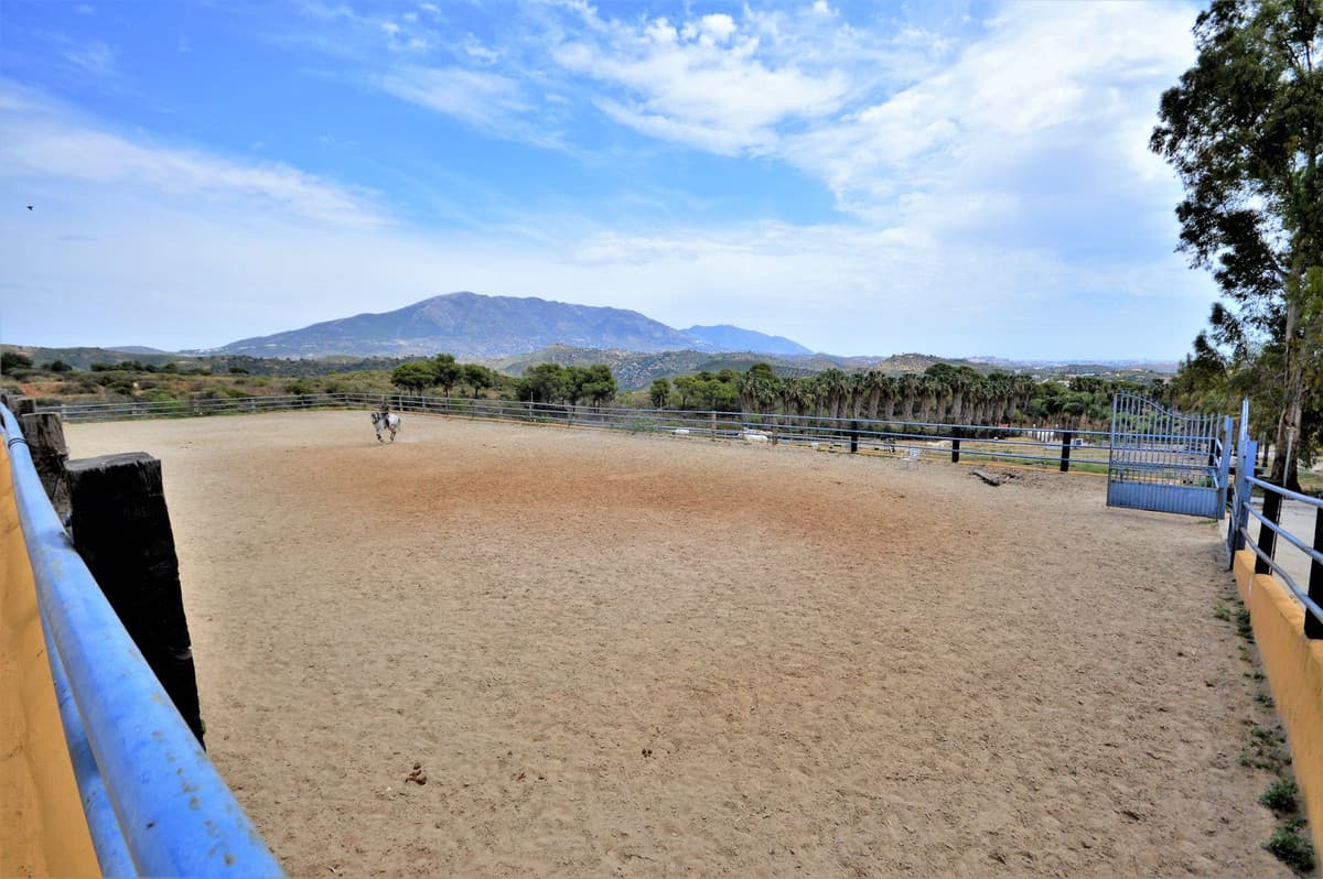 Fantastic and unique equestrian farm in an area surrounded by pine forests and Mediterranean vegetation