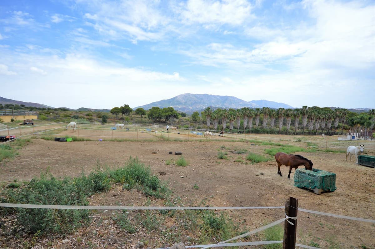 Fantastic and unique equestrian farm in an area surrounded by pine forests and Mediterranean vegetation